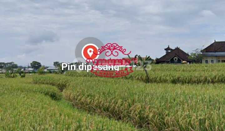 Tanah Sewa Lokasi Seseh 1