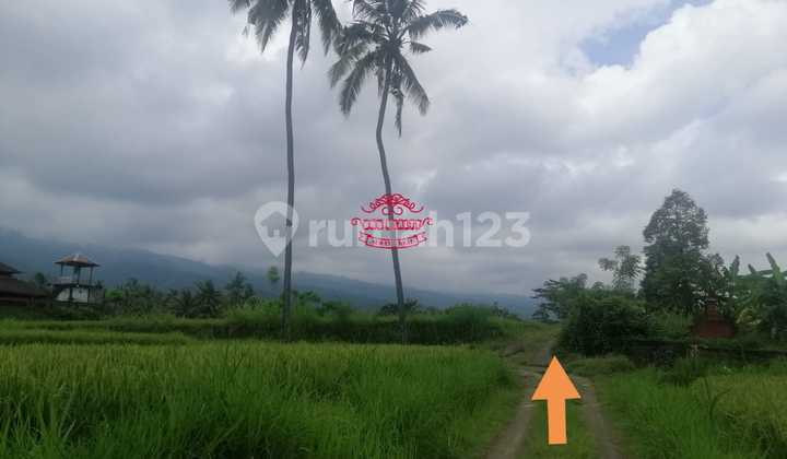 Tanah Jual Lokasi Panji 1