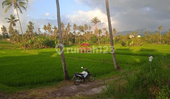 Tanah Jual Lokasi Panji 2