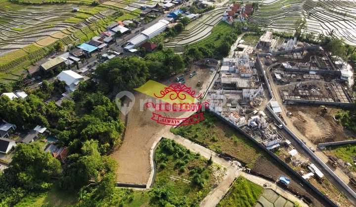 Tanah Jual Lokasi Tumbak Bayuh