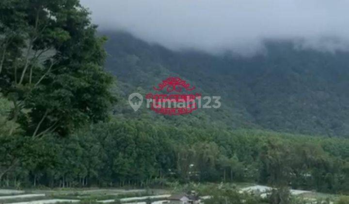 Tanah Jual Lokasi Pancasari 2