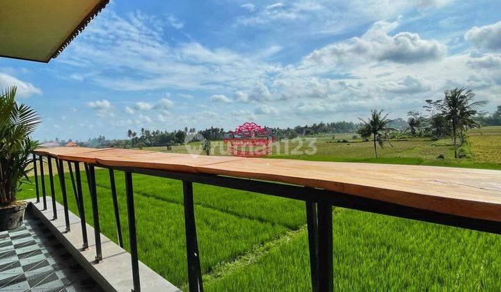 Villa Jual Lokasi Singakerta 2