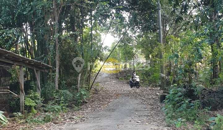 Tanah Jual Lokasi Pecatu