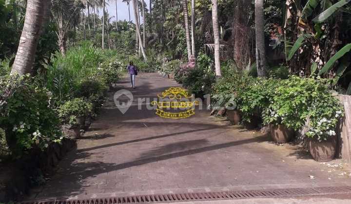 Tanah Jual Lokasi Saba