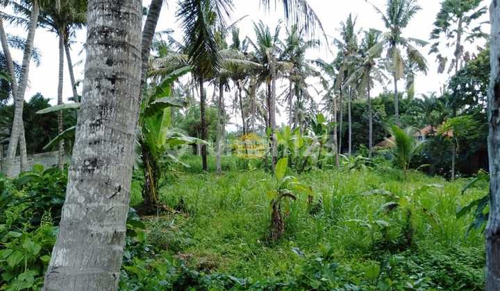 Tanah Jual Lokasi Saba