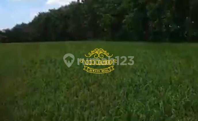 Tanah Jual Lokasi Seseh