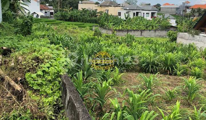 Tanah Jual Lokasi Tumbak Bayuh Tanah Jual Lokasi Tumbak Bayuh