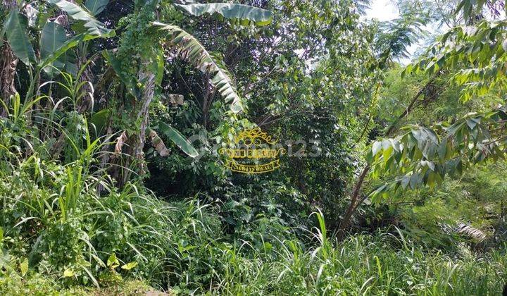 Tanah Jual Lokasi Trenggana 1