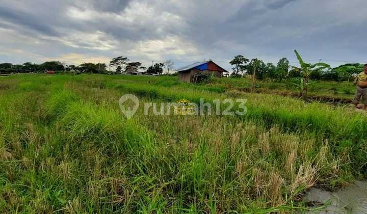 Tanah Jual Lokasi Seseh Tanah Jual Lokasi Seseh