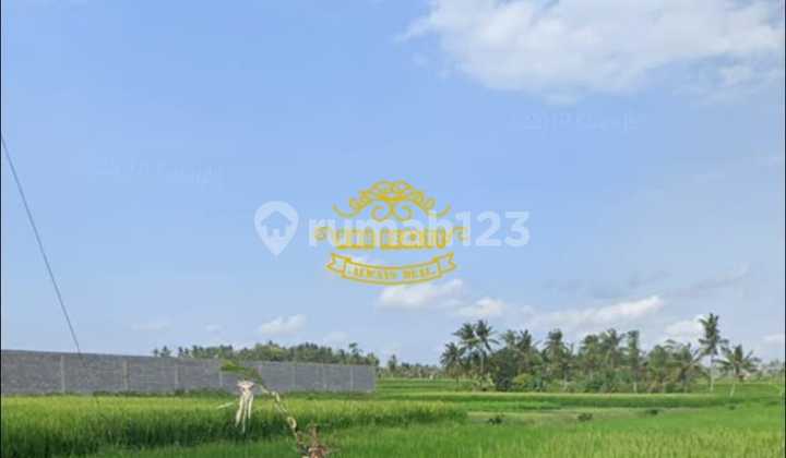 Land for Sale in Tandeg Location