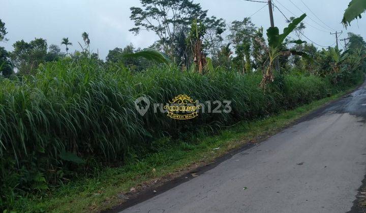 Tanah Jual Lokasi Pengotan 2