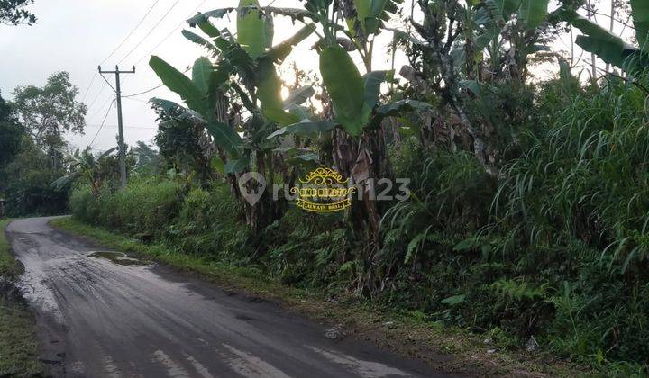 Tanah Jual Lokasi Pengotan 3