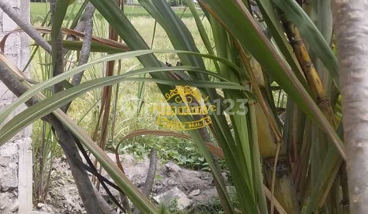 Land for Sale at Tukad Bilok Location