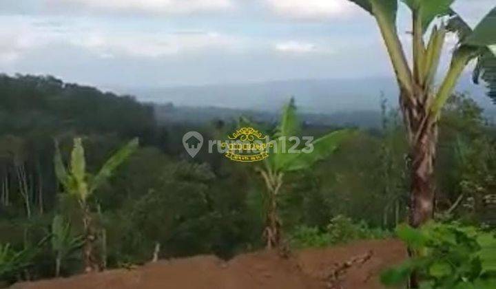 Tanah Jual Lokasi Gesing 1