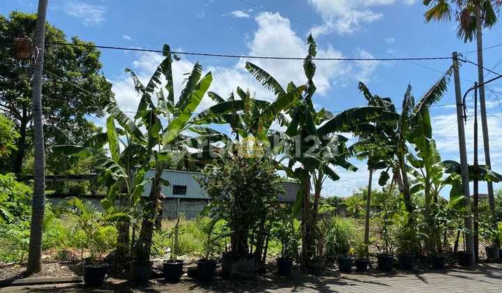 Tanah Jual Lokasi Sunset Road