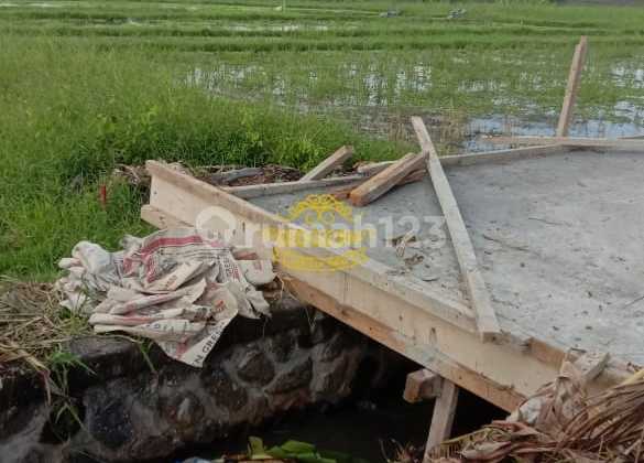 Tanah Jual Lokasi Seseh