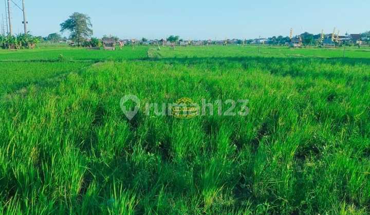 Land for Sale at Tukad Balian Location Land for Sale at Tukad Balian Location