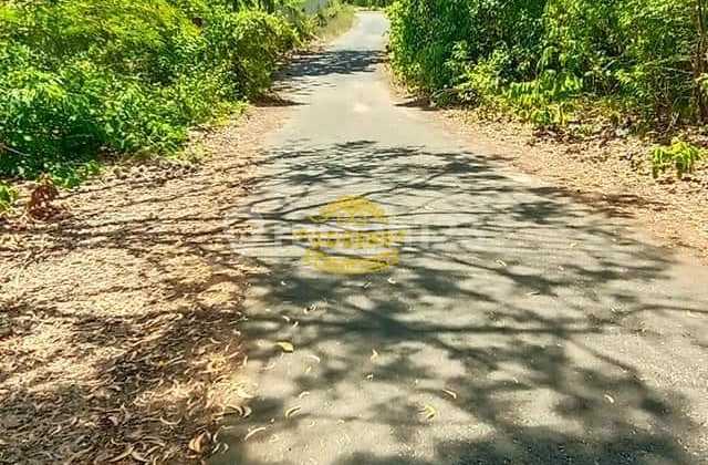 Land for Sale in Sawangan Location Land for Sale in Sawangan Location