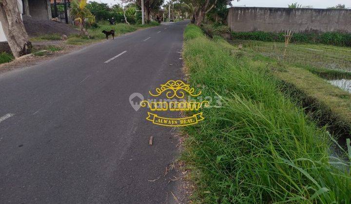 Tanah Sewa Lokasi Seseh 1