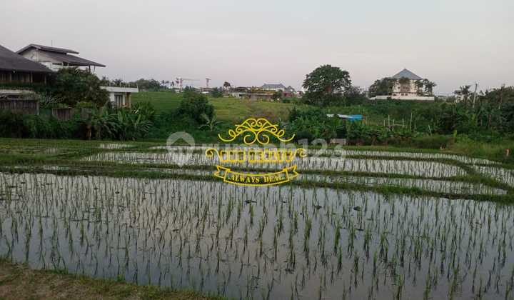 Tanah Sewa Lokasi Seseh 2