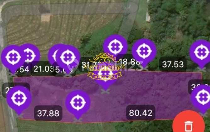 Tanah Jual Lokasi Pantai Nyanyi