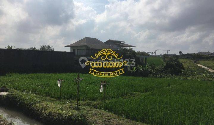 Tanah Sewa Lokasi Seseh 2