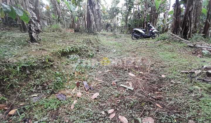 Land for Sale in Wanagiri Location Land for Sale in Wanagiri Location