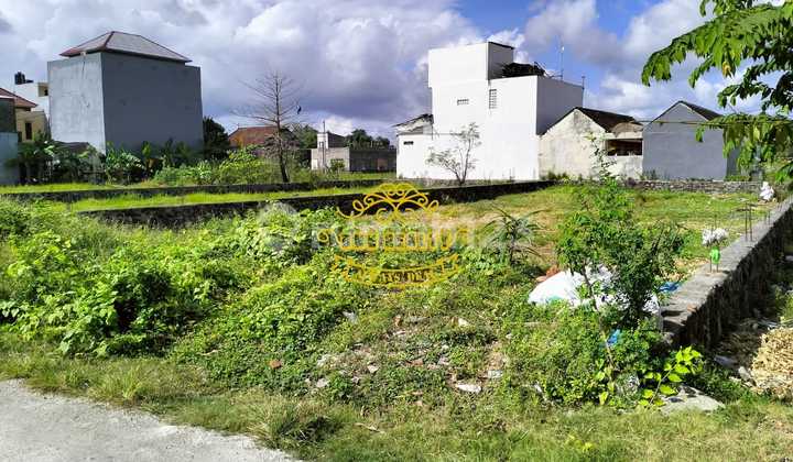 Land for Sale Near Demak Temple