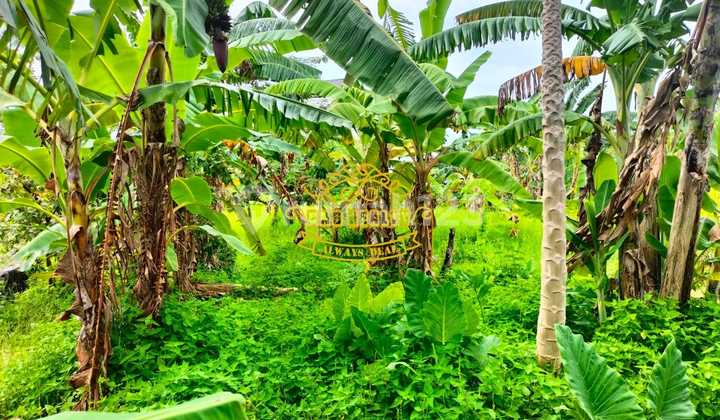 Land for Sale Barak Land Location