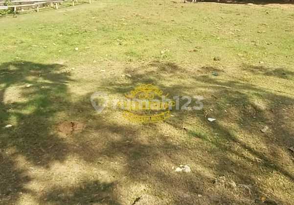 Tanah Jual Lokasi Umalas Tanah Jual Lokasi Umalas