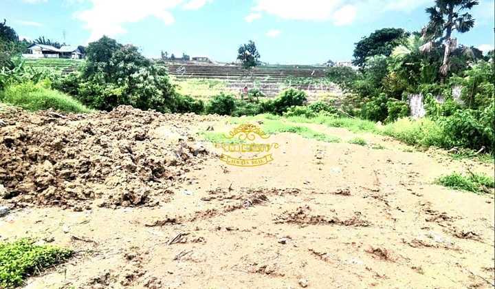 Tanah Jual Lokasi Pererenan