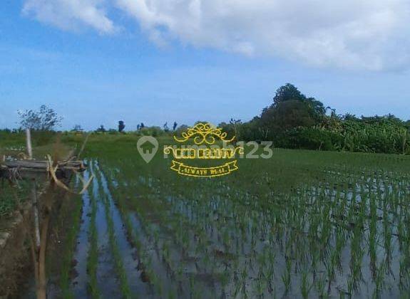 Tanah Sewa Lokasi Kedungu 2