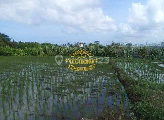 Tanah Sewa Lokasi Kedungu 3