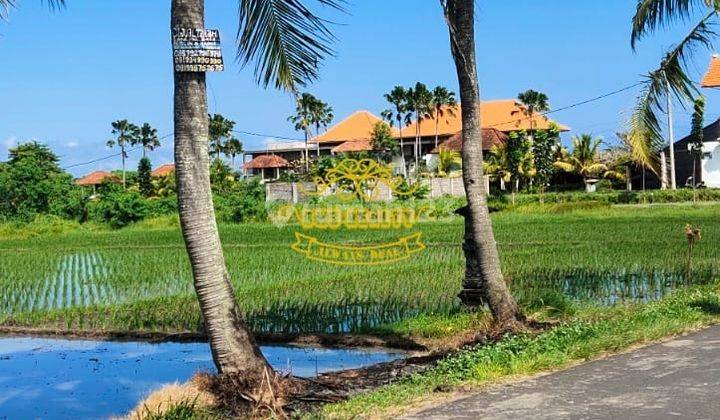 Tanah Sewa Lokasi Kedungu 1