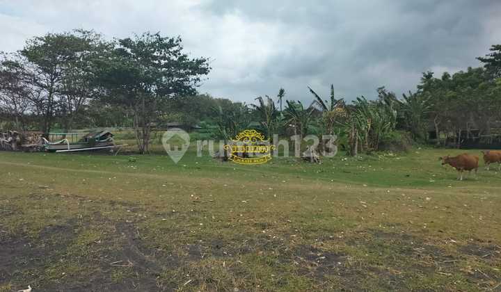 Tanah Jual Lokasi Sedayu