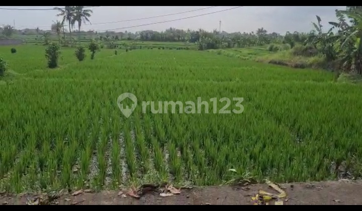 Tanah Jual Lokasi Nyanyi
