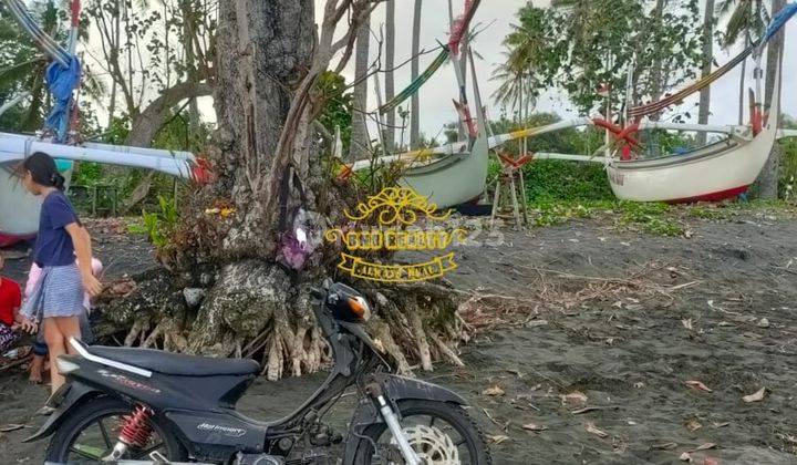 Tanah Jual Lokasi Perancak 2