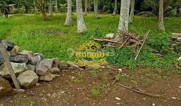 Tanah Sewa Lokasi Pangkung Tibah 1