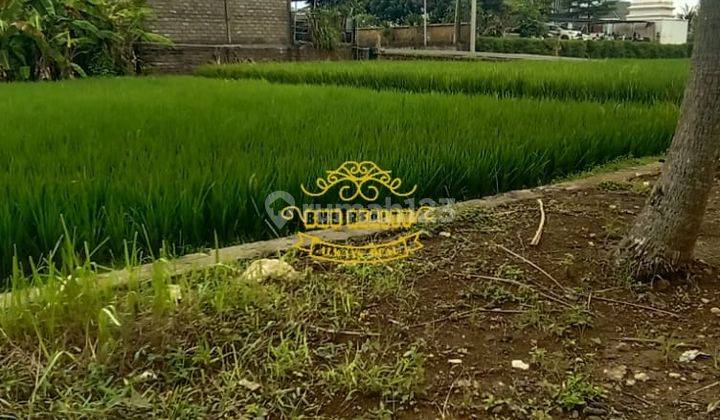 Tanah Sewa Lokasi Pangkung Tibah 2