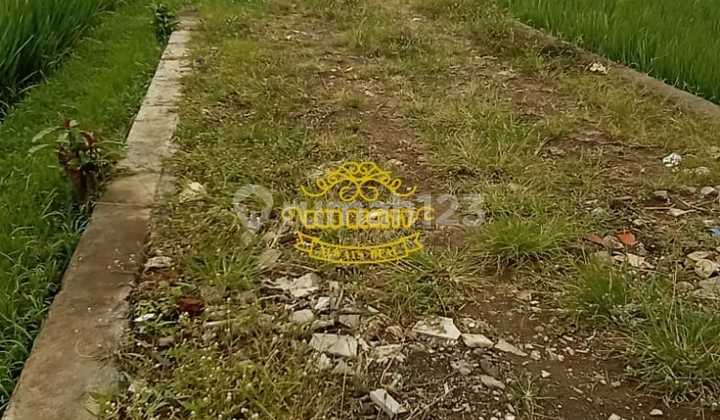 Tanah Sewa Lokasi Pangkung Tibah 3