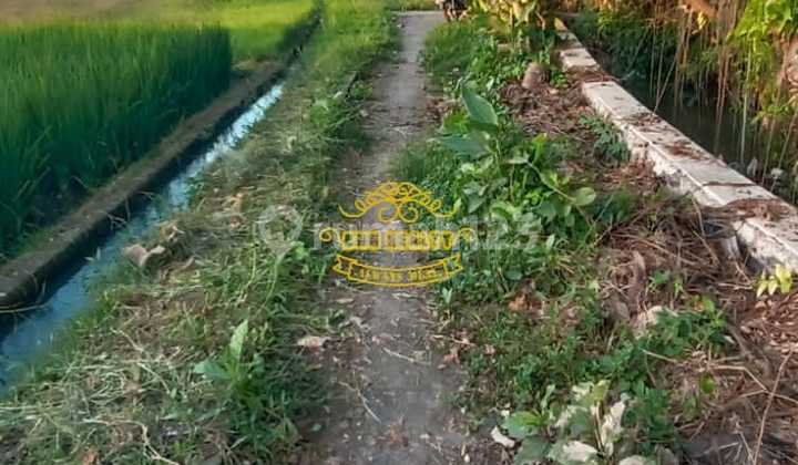 Tanah Jual Lokasi Pangkung Tibah