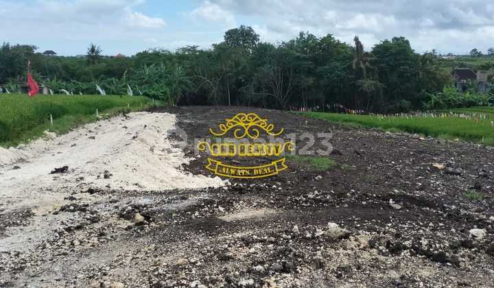 Tanah Jual Lokasi Tiying Tutul