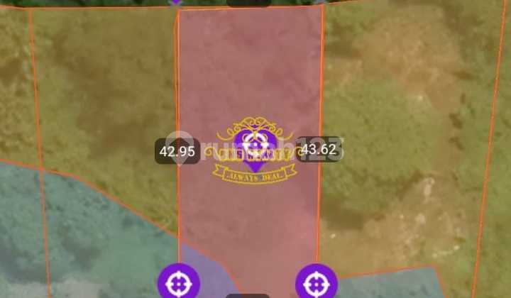 Land for Sale in Pererenan