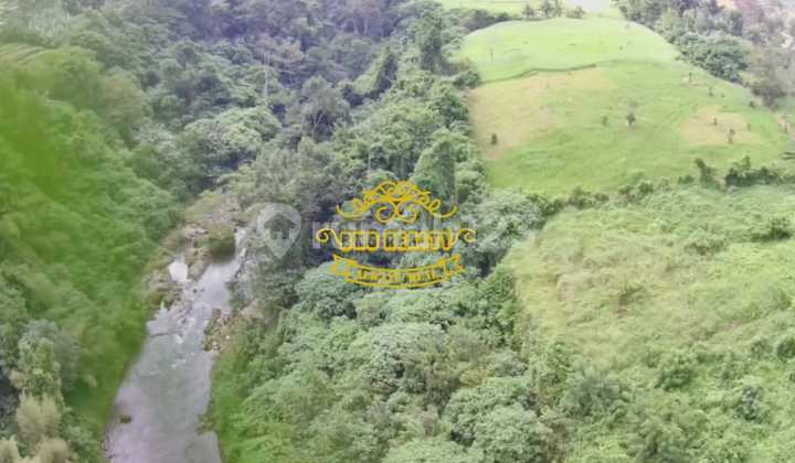 Tanah Jual Lokasi Silungan