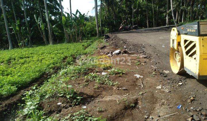 Tanah Jual Lokasi Buruan 1