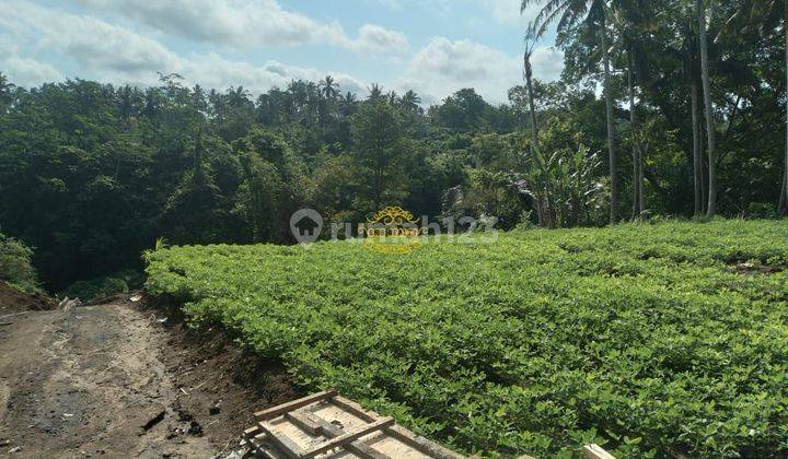 Tanah Jual Lokasi Buruan 2