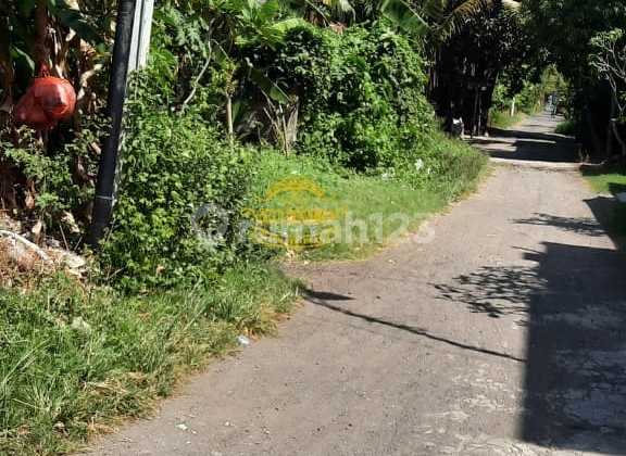 Tanah Jual Lokasi Sekar Jepun Tanah Jual Lokasi Sekar Jepun