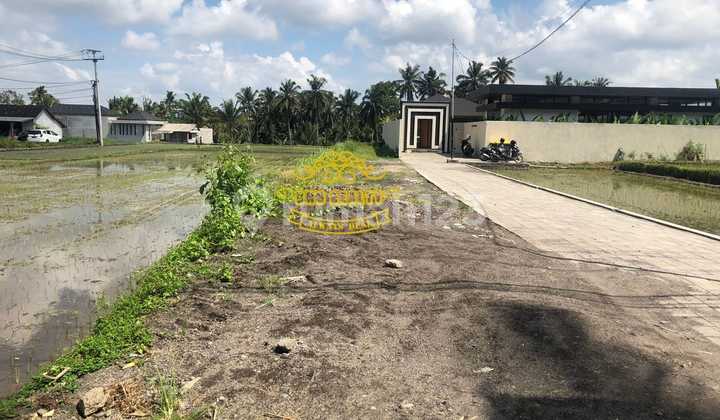 Tanah Jual Lokasi Pejeng Tanah Jual Lokasi Pejeng