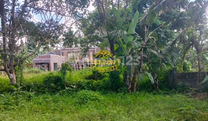 Tanah Jual Lokasi Silungan