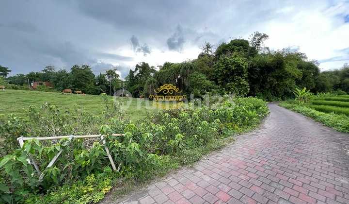 Tanah Jual Lokasi Pererenan